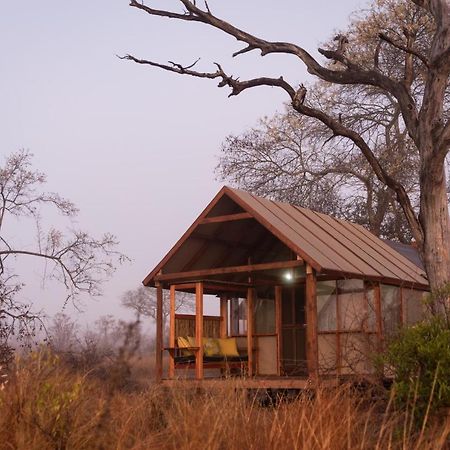 Buffelshoek Tented Camp Manyeleti Game Reserve Eksteriør billede