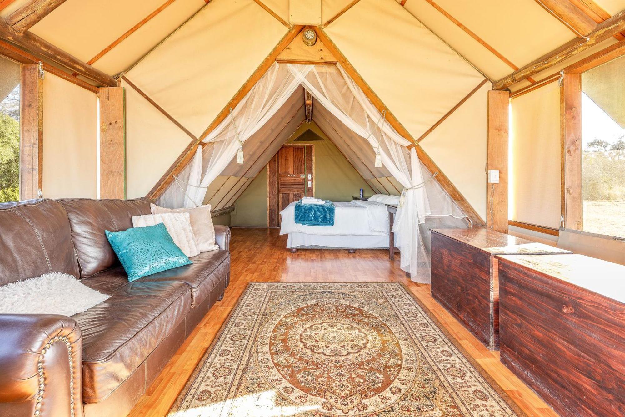 Buffelshoek Tented Camp Manyeleti Game Reserve Eksteriør billede
