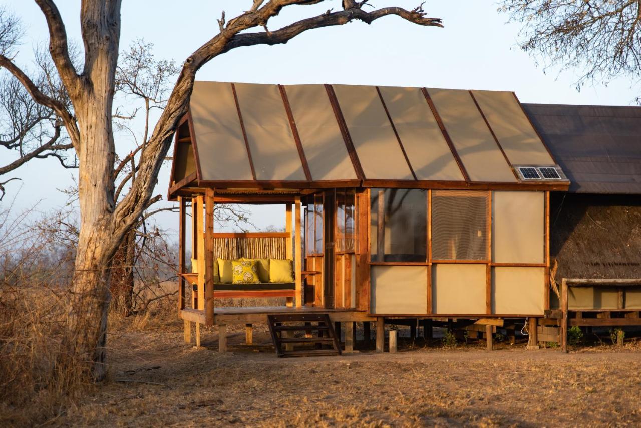 Buffelshoek Tented Camp Manyeleti Game Reserve Eksteriør billede