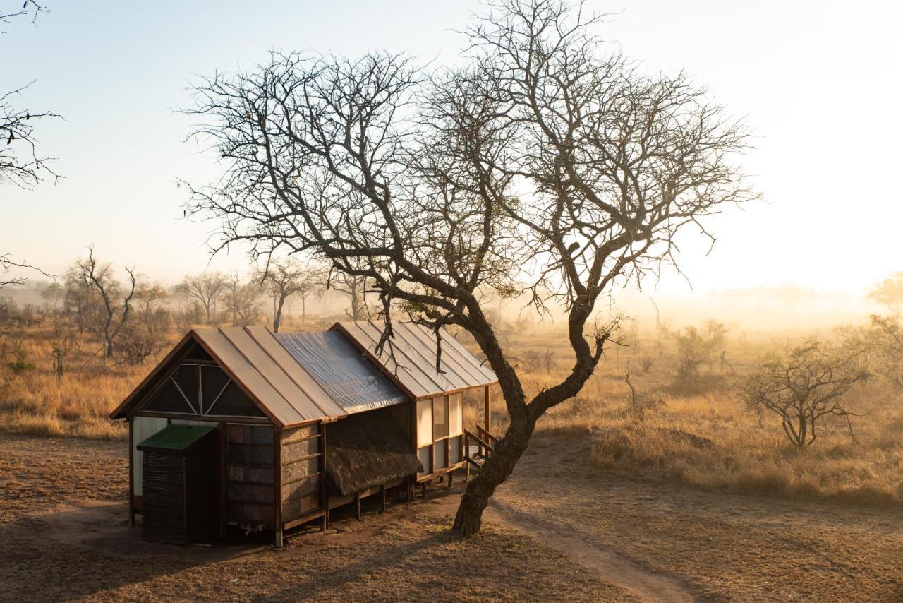 Buffelshoek Tented Camp Manyeleti Game Reserve Eksteriør billede